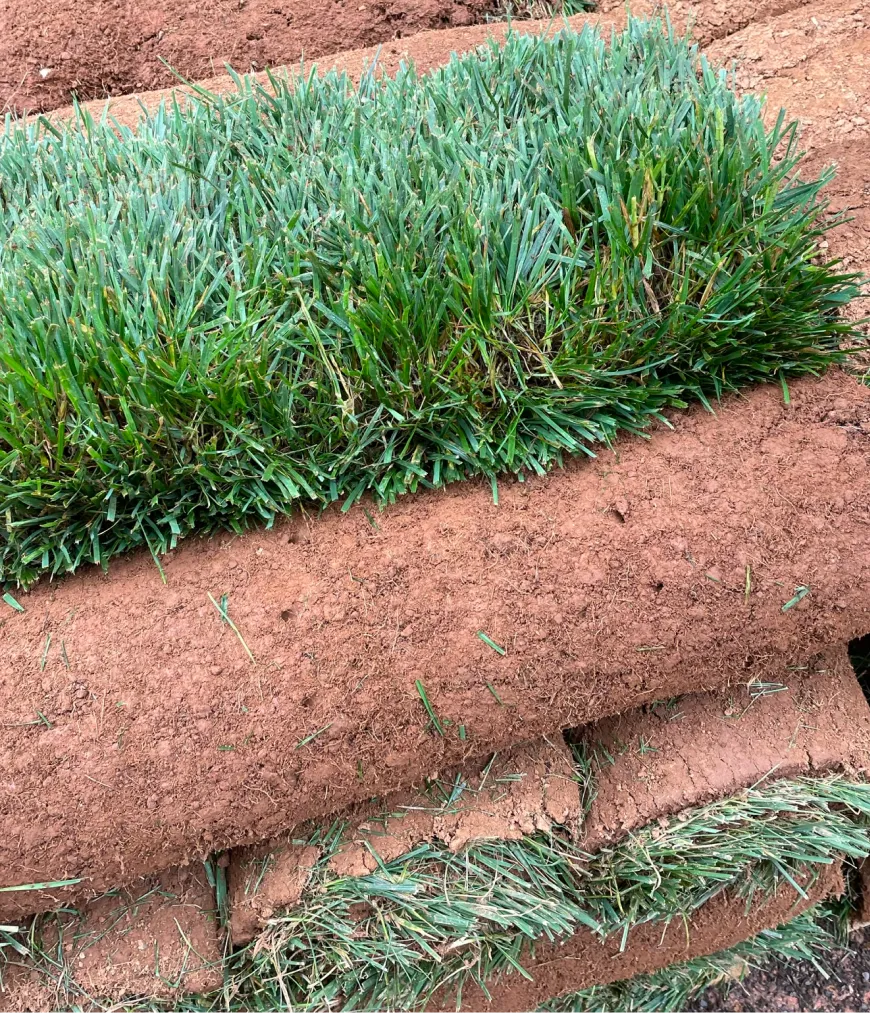 Sod Installation